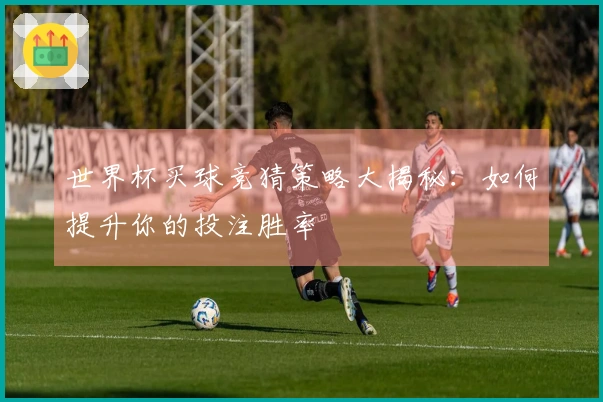 世界杯买球竞猜策略大揭秘：如何提升你的投注胜率