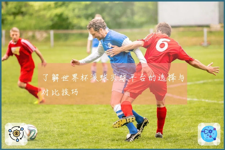 了解世界杯滚球买球平台的选择与对比技巧