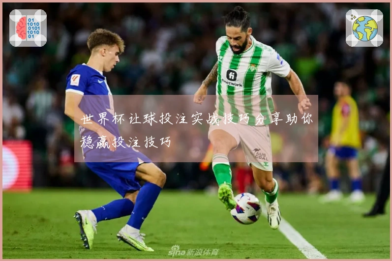 世界杯让球投注实战技巧分享助你稳赢投注技巧