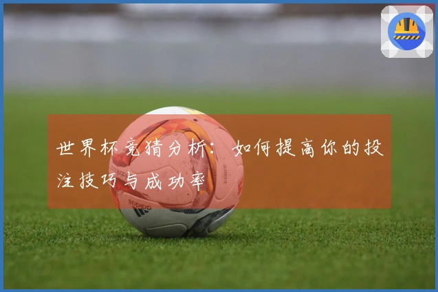 世界杯竞猜分析：如何提高你的投注技巧与成功率