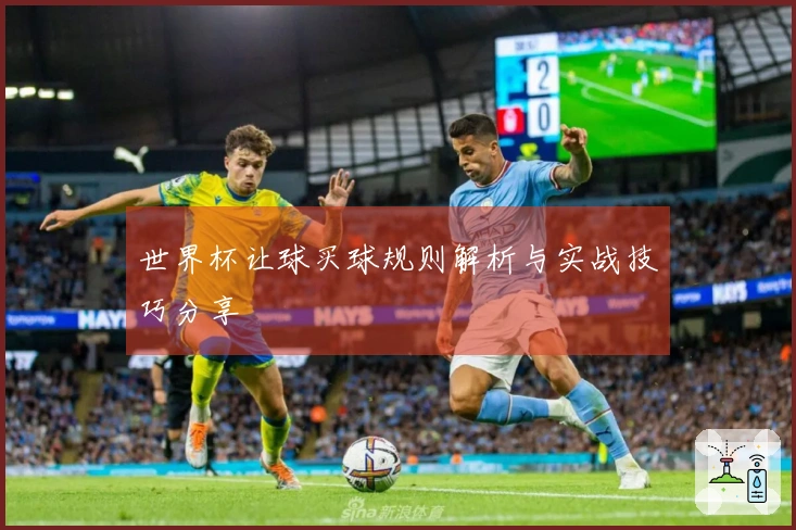 世界杯让球买球规则解析与实战技巧分享