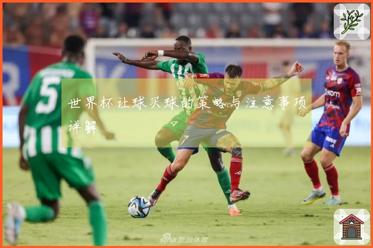 世界杯让球买球的策略与注意事项详解