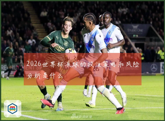2026世界杯滚球的投注策略和风险分析是什么
