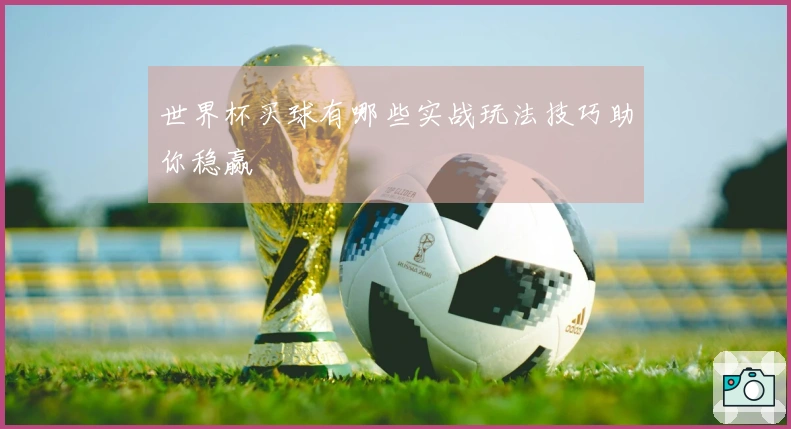 世界杯买球有哪些实战玩法技巧助你稳赢