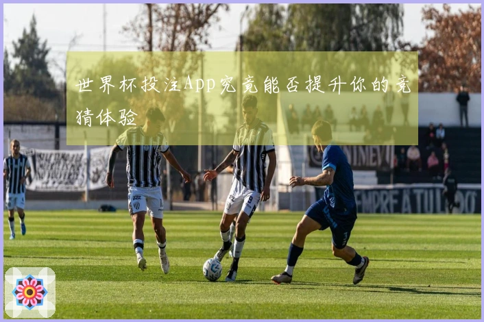 世界杯投注App究竟能否提升你的竞猜体验